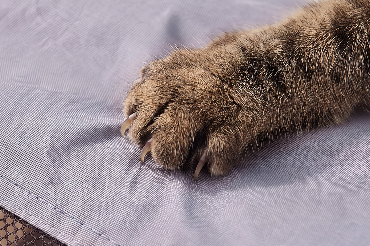 Light gray playpen fabric with cat paw resting; stitched seam detail.