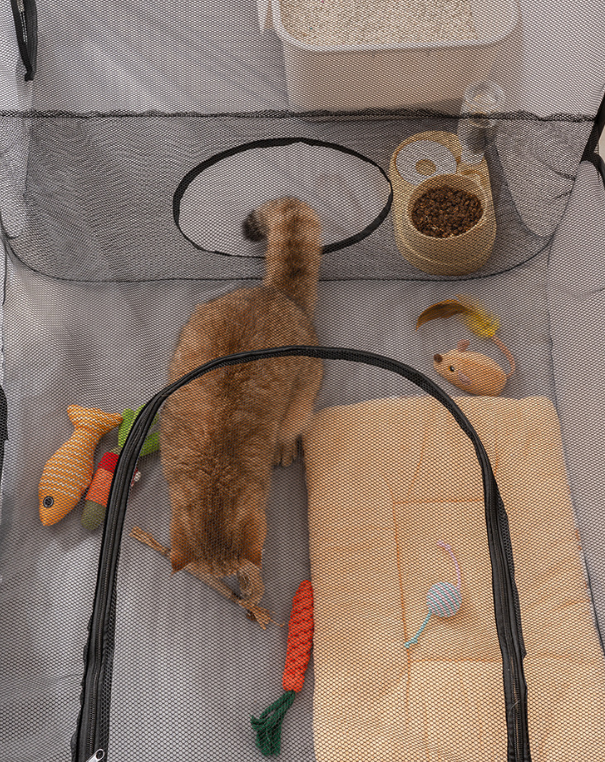 Gray fabric pet playpen with tunnel and mesh openings; cat sitting inside.